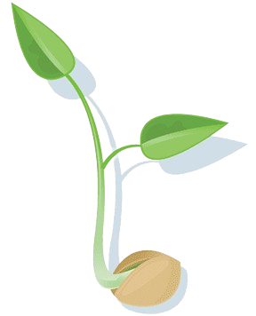 category